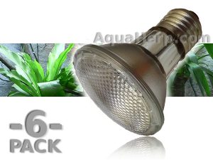 Terraarion lämpölamppu 50W.